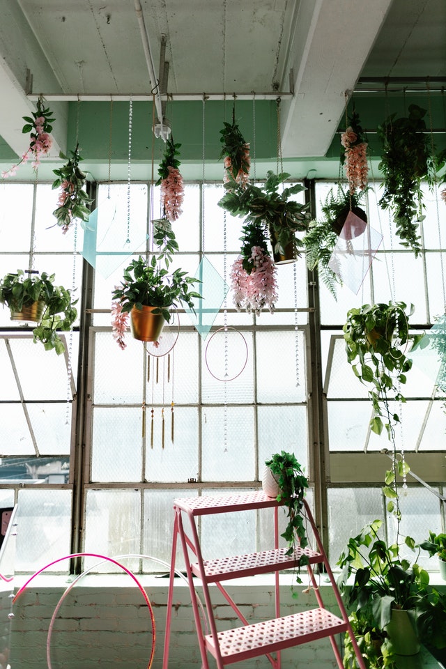 Hangplanten in hangplanten bakken